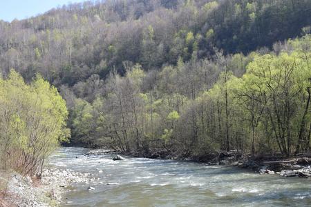 Der Jiu Fluss in einem bewaldeten Tal