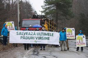 SaveParadiseForests-Aktivisten mit Plakaten vor Holztransporter