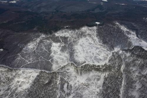 Große Kahlschlagfläche auf einem Berghang im Winter
