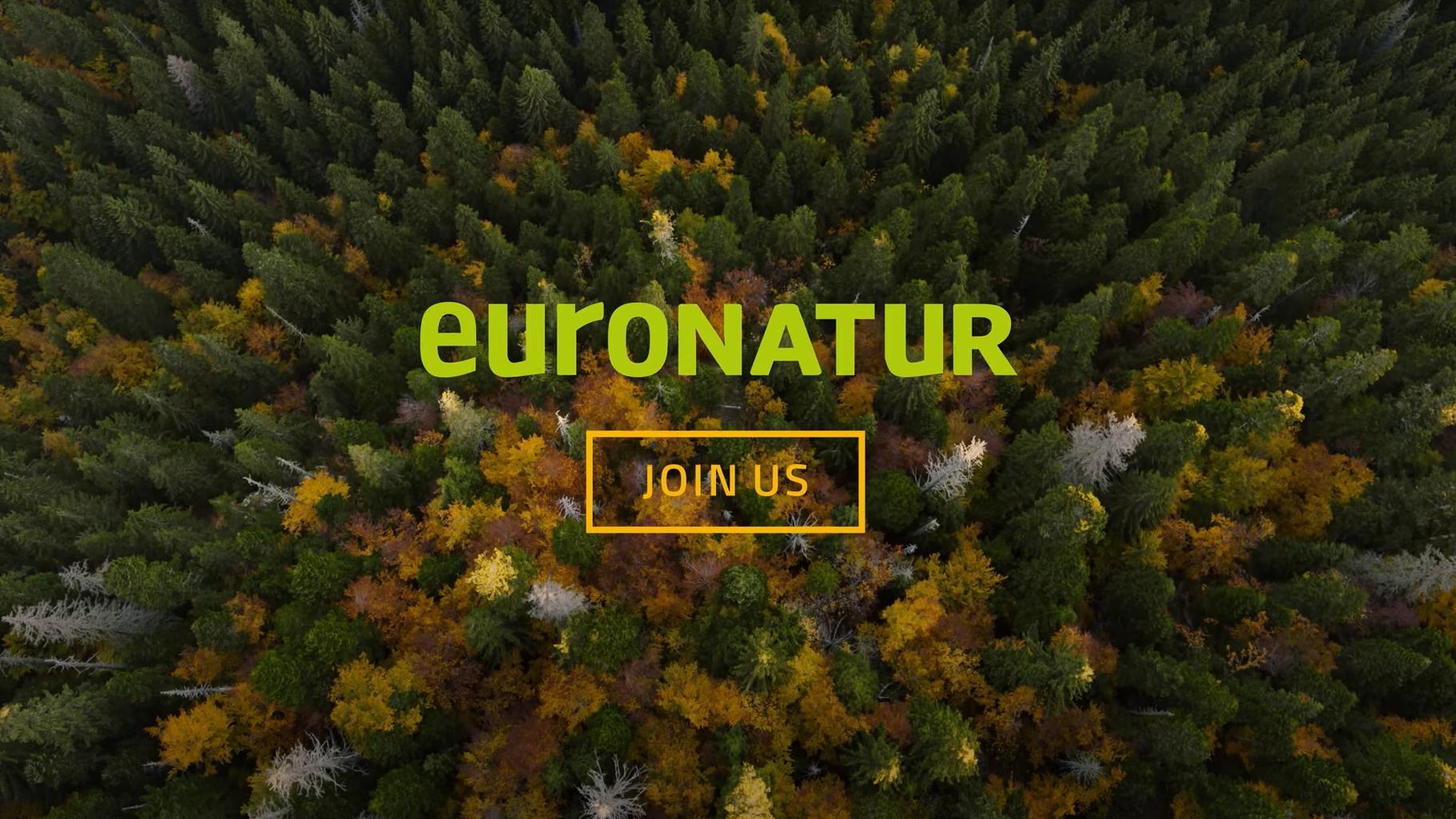 Aerial view of an autumn forest with euroNatur logo