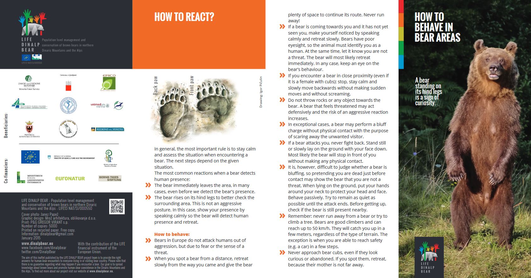 Leaflet "How to behave in bear areas"