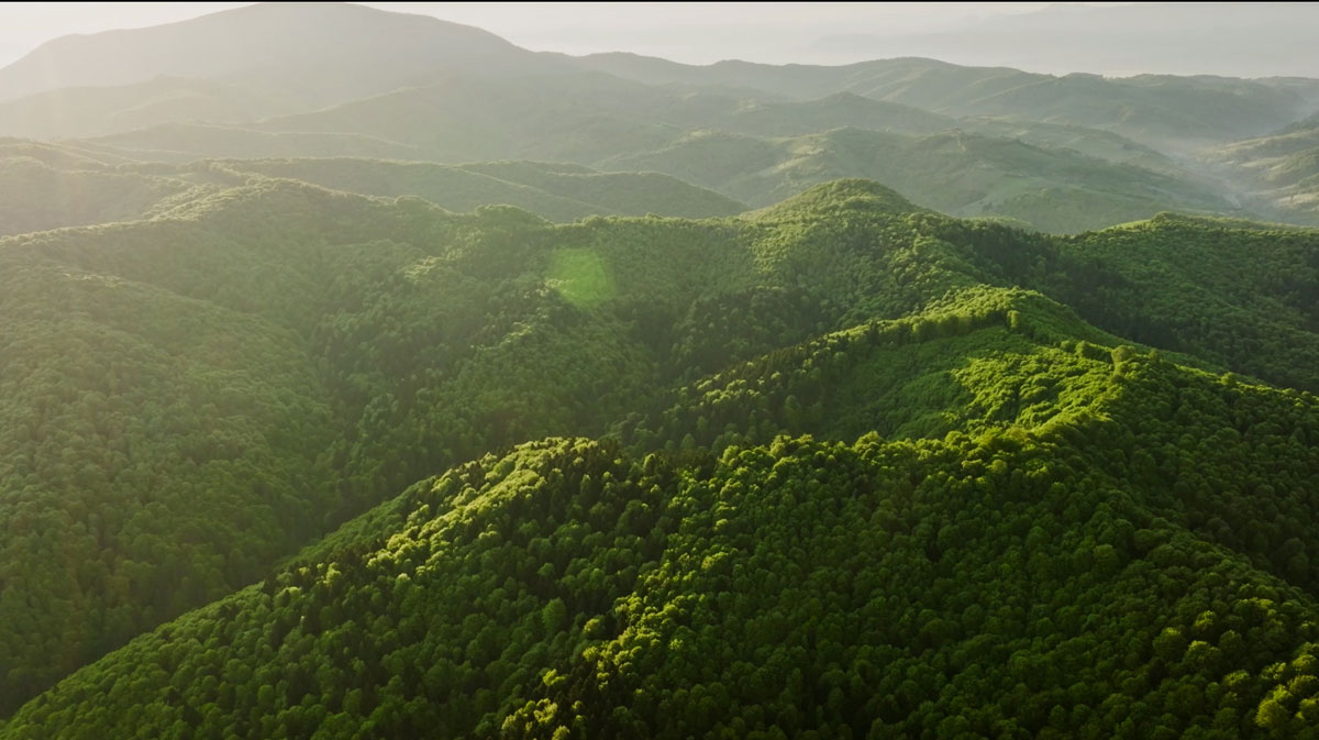 Screenshot BFC Urwälder Rumänien