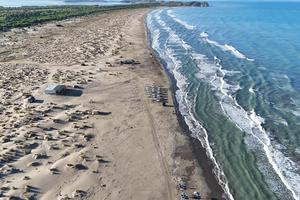 A bird's-eye view of the sandy beach in the Vjosa Delta