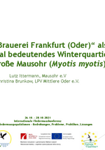 Die "Alte Brauerei Frankfurt (Oder)“ als überregional bedeutendes Winterquartierfür das Große Mausohr (Myotis myotis)