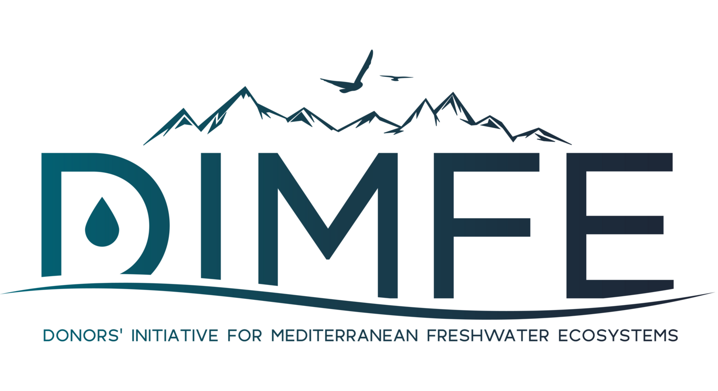 Logo DIMFE