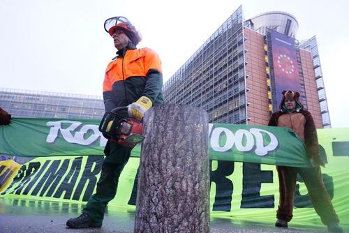 Menschen protestieren mit Plakaten, einem abgesägten Baumstumpf und Kettensägen für den Schutz der Wälder.
