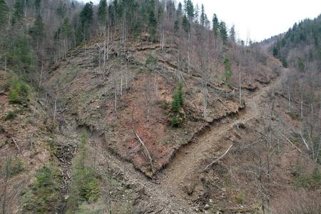 Fellings in the Romanian Carpathians