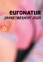 Unser Jahresbericht 2025