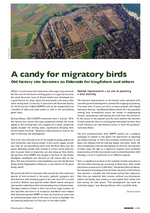 A candy for migratory birds - Lake Ormoz (Magazine 1/21) 
