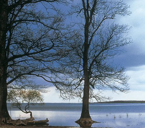 Floodlands at the River Save