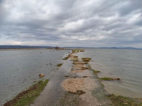 Überschwemmter Fahrweg in der Saline Ulcinj