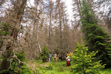 naturnaher Wald in Montenegro