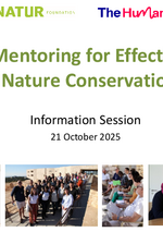 Presentation des Q&A-Webinars zum Mentoring-Programm Herbst 2025