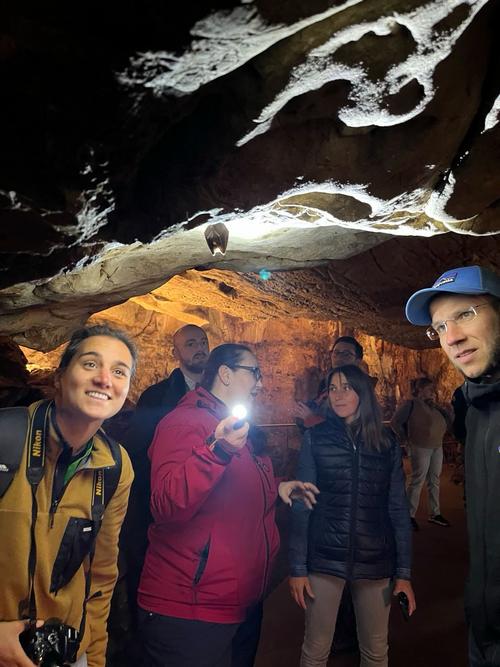Exkursion Karsthöhle Naturschützer beobachten eine Fledermaus