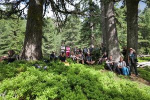 The team taking a break under very big Balkan pines.