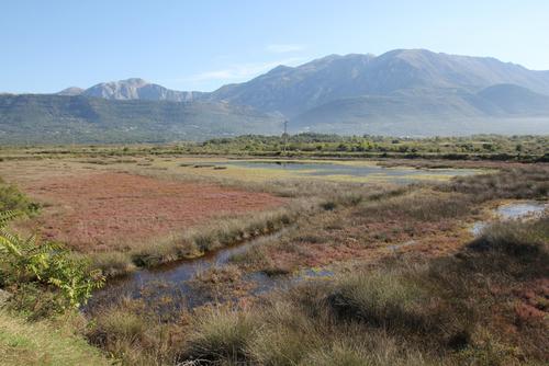 Sumpfgebiet in der ehemaligen Saline Tivat