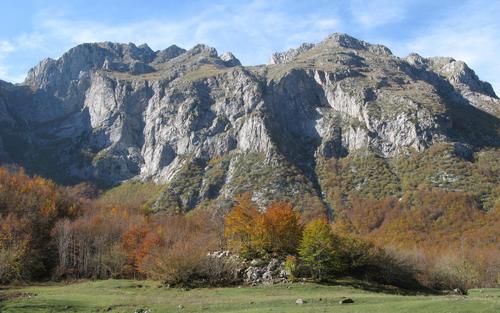 Eine Wiese und ein Herbstwald vor Bergen im Prokletije Nationalpark.