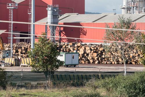 Timber factory in Romania