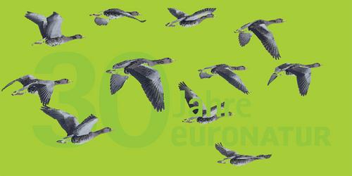 Slider Jubilaeum Logo 30 Jahre EuroNatur