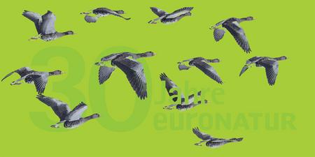 Logo 30 Jahre EuroNatur