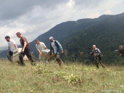 Several man carrying to boxes over a mountain slope