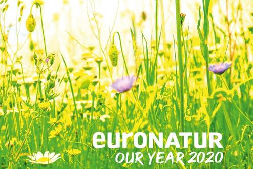 EuroNatur Annual Report 2020