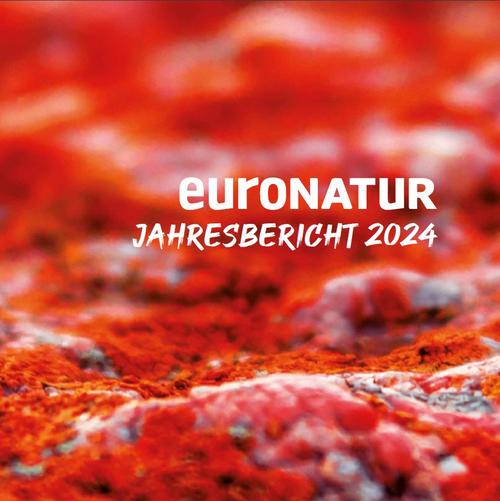 Das Titelblatt des EuroNatur Jahresberichts 2024 zeigt einen Teppich aus roten Flechten.