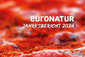 Das Titelblatt des EuroNatur Jahresberichts 2024 zeigt einen Teppich aus roten Flechten.