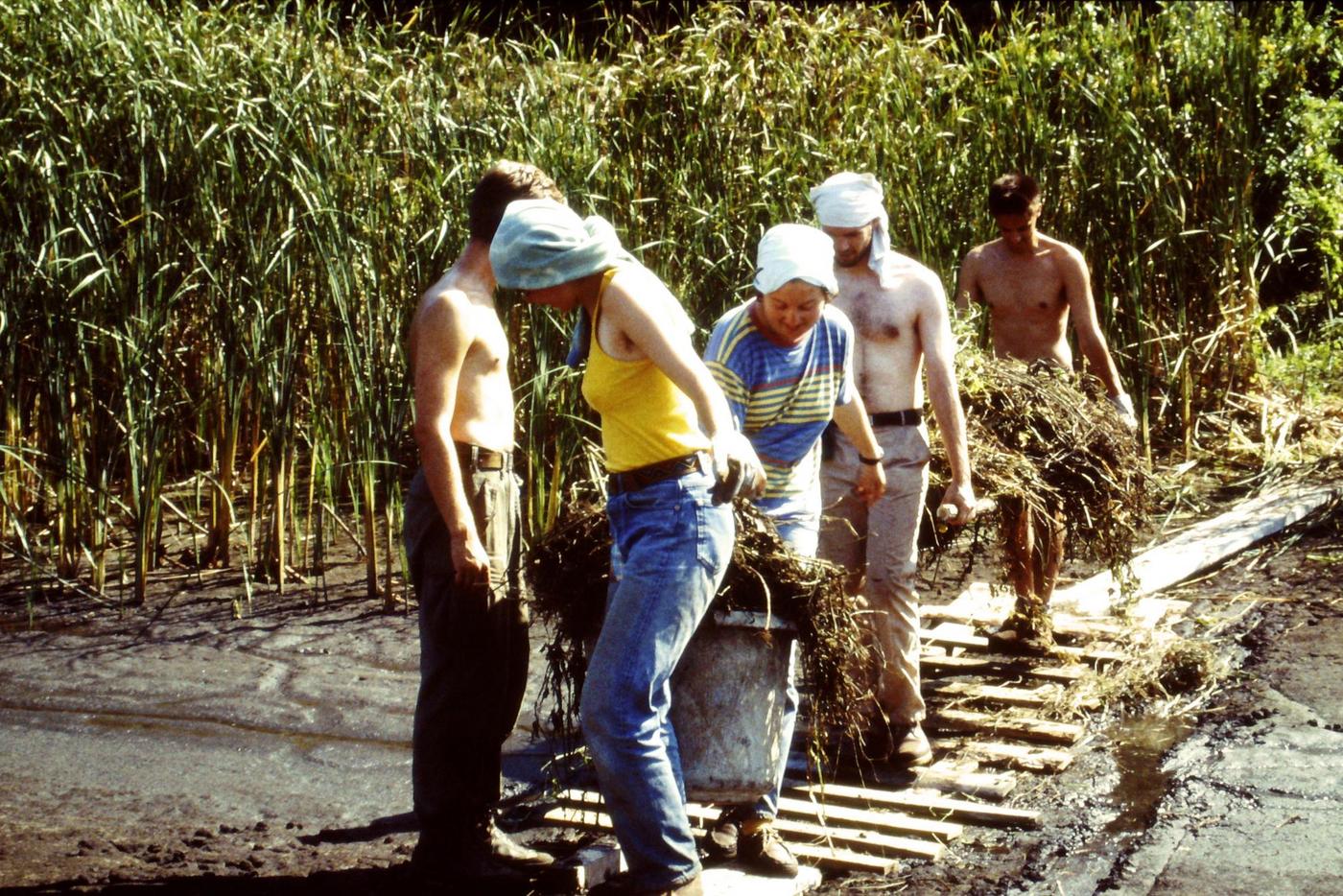 Menschen machen Naturpflegemaßnahmen