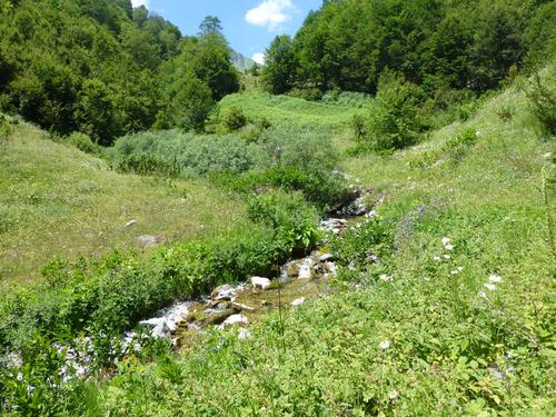 Ein Bach fliet durch ein sonniges Tal im Mavrovo Nationalpark.