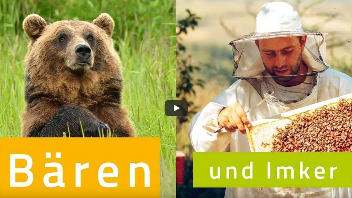 Doppelbild mit links Bär und rechts Imker