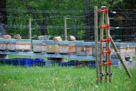 beehives with a fence