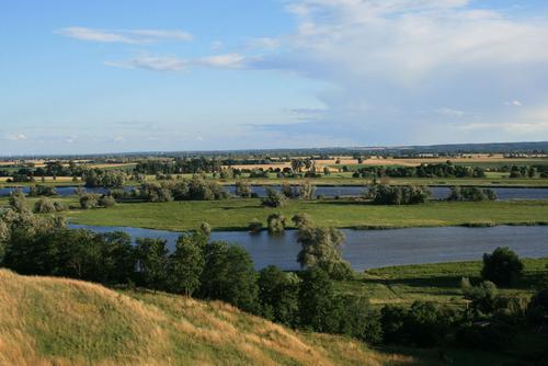 Landschaft im Oderbruch bei Neurüdnitz mit Flussarmen, Wiesen, Feldern und Bäumen.