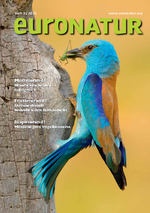 Das EuroNatur Magazin 2025/2 zum Download.