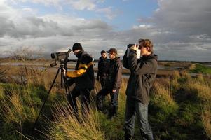 Ornithologists in Ulcinj