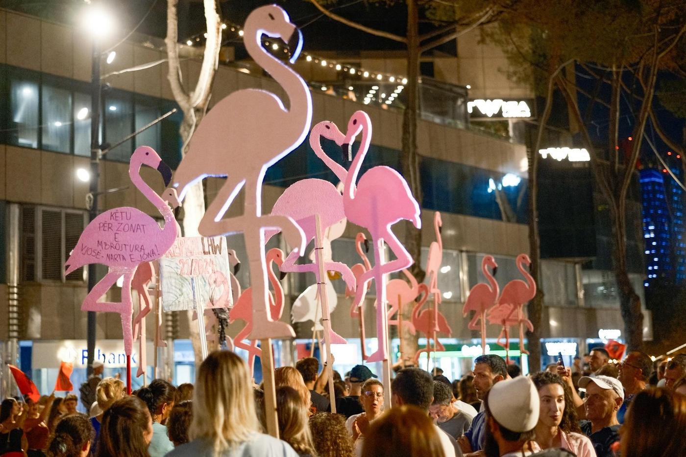 Demonstrierende mit Flamingos aus Pappmaché bei Protest in Albanien