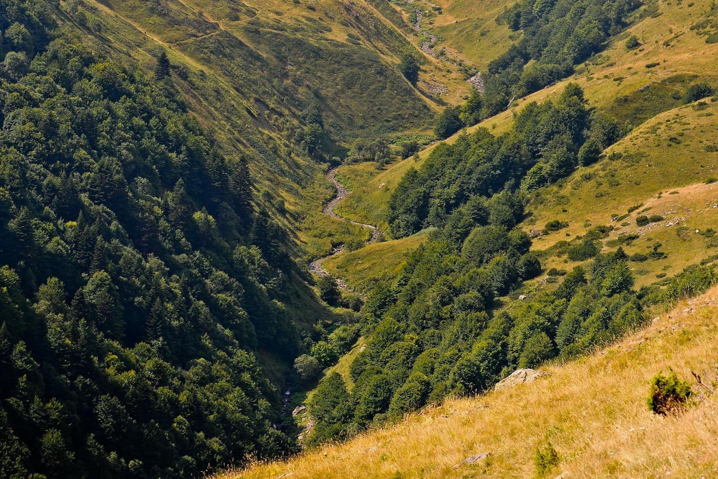 Krivosijksa Reka im Shar-Gebirge