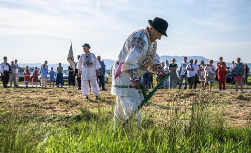 Mann mit Sense Ein Mann im traditionellen Kostüm mäht eine Wiese mit einer Sense.