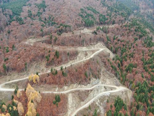 Urwaldzerstörung in Rumänien