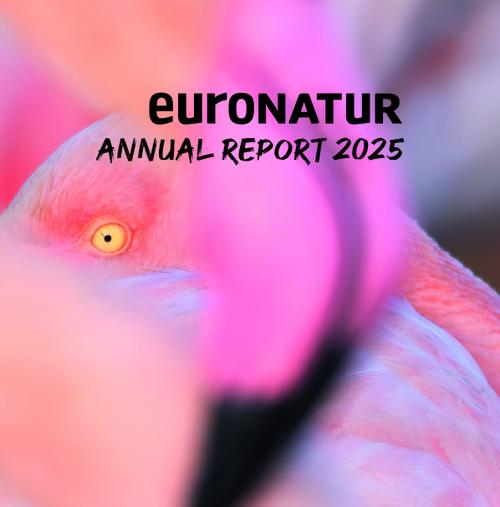 Title of the EuroNatur annual report 2025