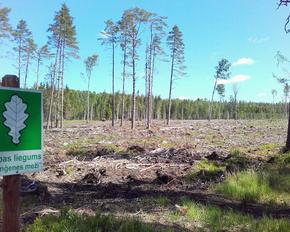 Clearing with nature reserve sign.