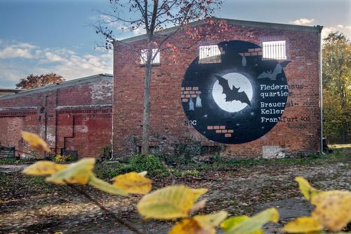Bat graffiti Old Brewery in Frankfurt