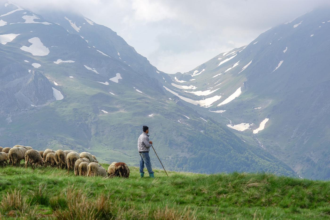 Schäfer vor Bergkulisse