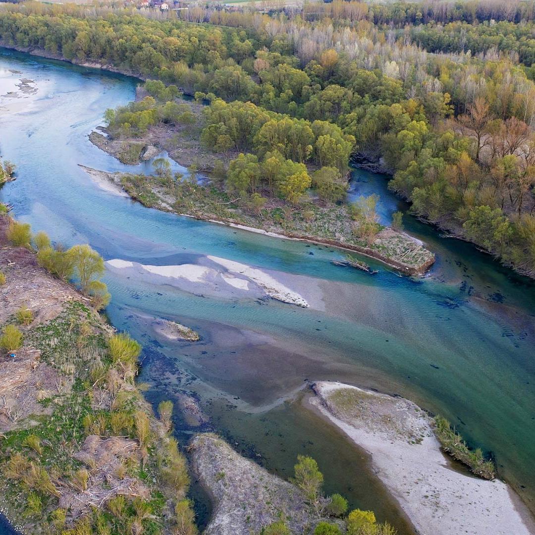 The Sava with river islands and alluvial forests in spring.