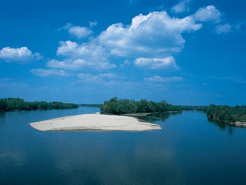 Wooded river islands in the Drava