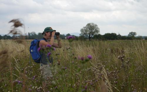 Person mit Rucksack und Fernglas im Feld