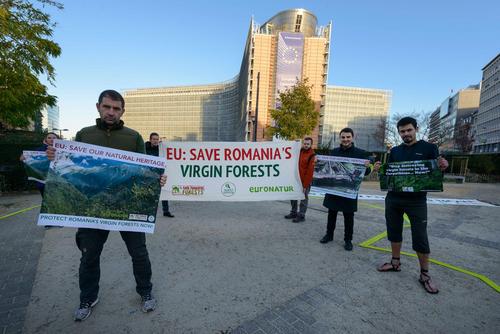 Aktivisten mit Plakaten gegen Waldzerstörung