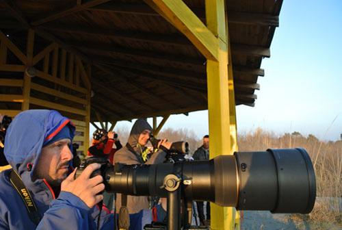 Teilnehmer beim Workshop Vogelbeobachtung