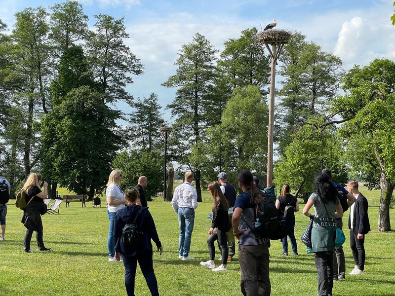 A group of people are standing in a meadow around a pole with a stork's nest.