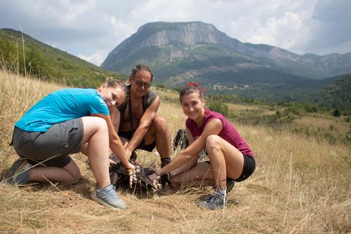 Ornithologists transmitter black vultures